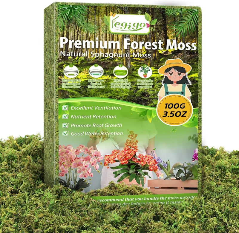 Legigo 3.5 OZ Green Moss for Crafts, Real Forest Moss for Plants Indoor, Table Decorative Centerpieces, Artificial Fairy Garden, Wedding Party Decor, Fake Potted Plants and DIY Craft Projects - Image 1